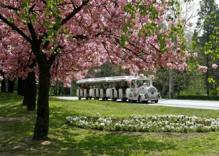 Laci * ザラカロシュ